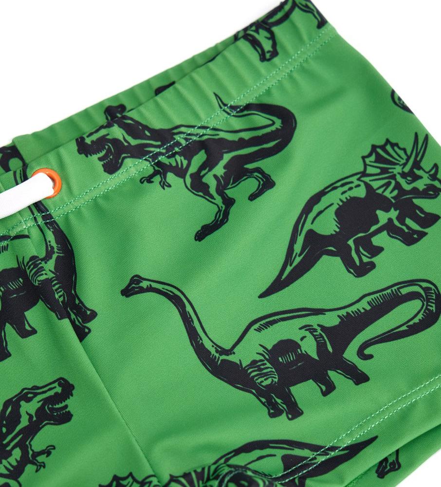 Chlapecké plavky - Dinosaurus