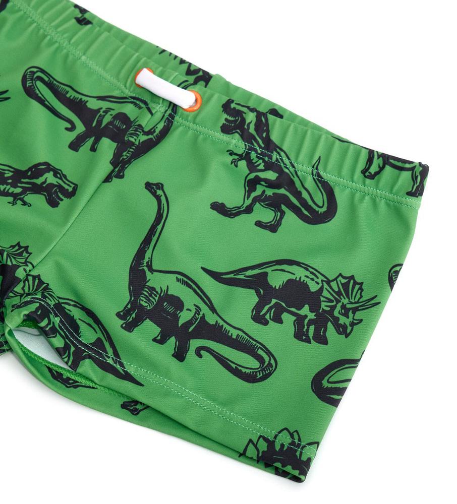 Chlapecké plavky - Dinosaurus